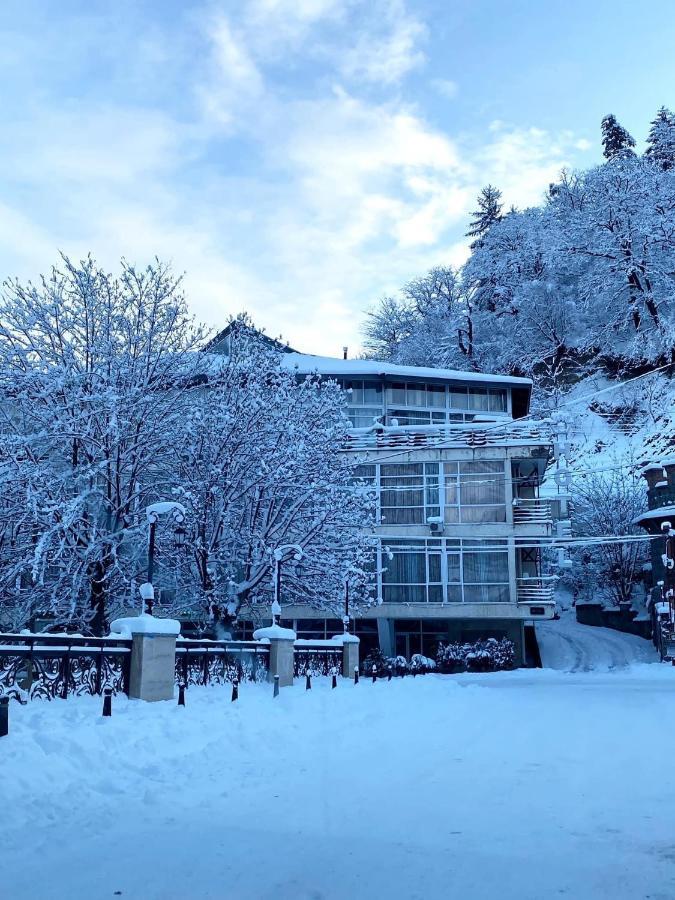 Guest House Боржоми Экстерьер фото